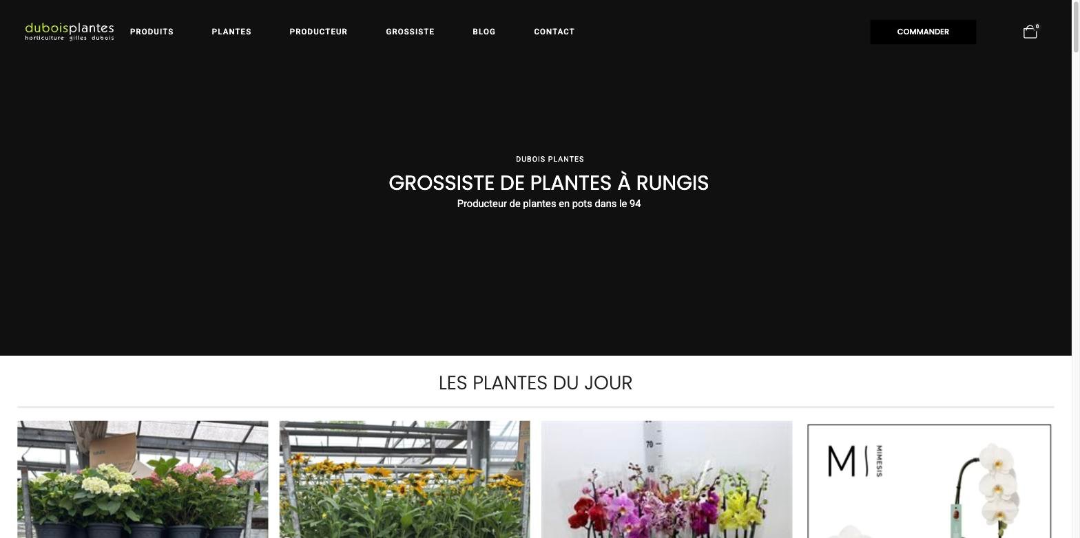 Dubois Plantes — site vitrine et e-commerce B2B pour un grossiste-producteur de plantes à Rungis