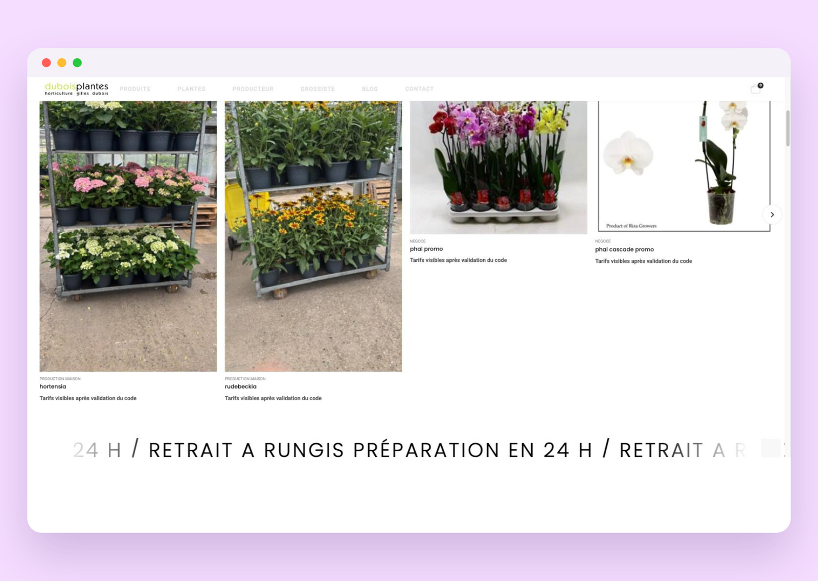 Catalogue Dubois Plantes avec tarifs prot&eacute;g&eacute;s