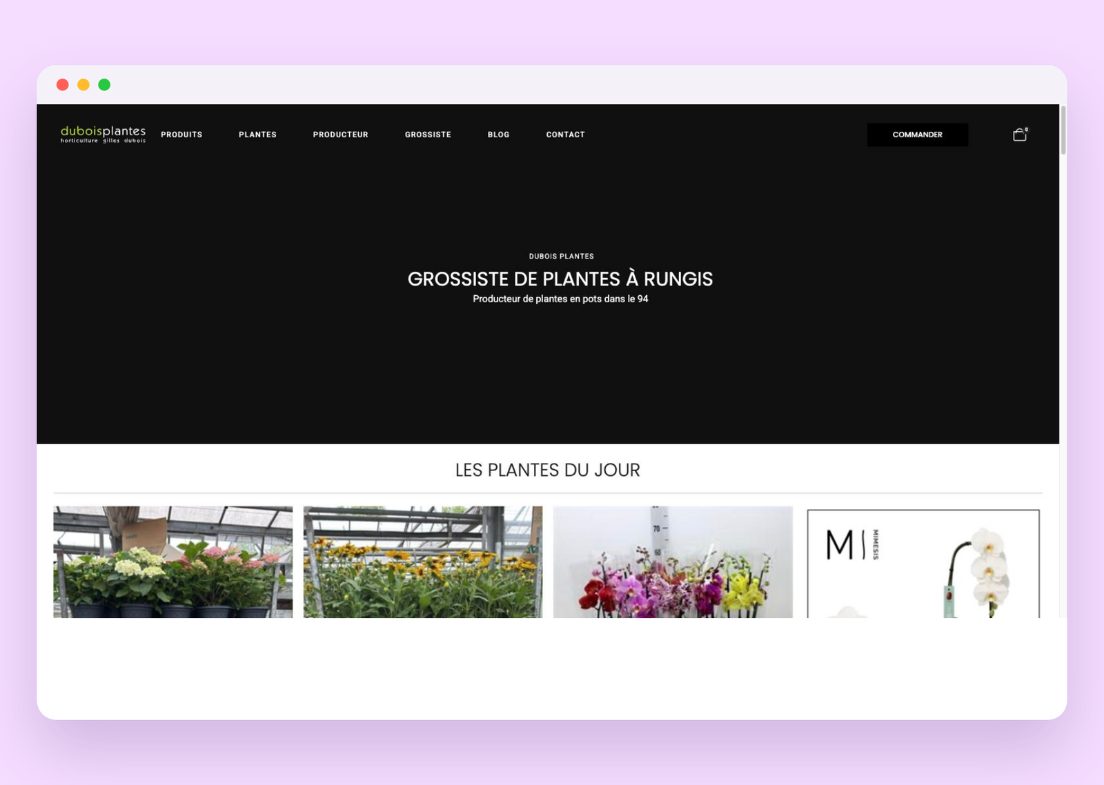 Site Dubois Plantes