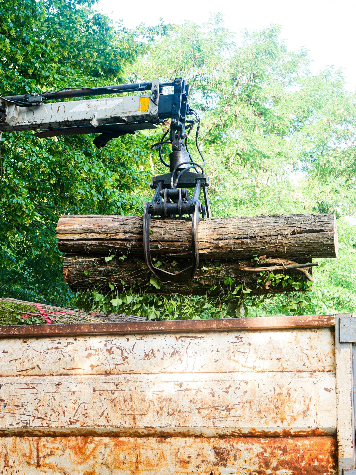 Grue forestière chargeant des grumes
